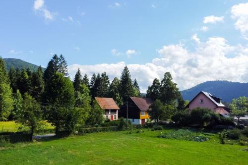 外部景觀, Holiday house with a parking space Delnice, Gorski kotar - 25166 in 代爾尼采