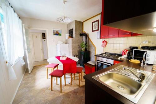 廚房, Holiday house with a parking space Delnice, Gorski kotar - 25166 in 代爾尼采