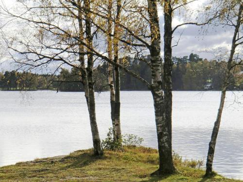 Skats, person holiday home in UNNARYD-By Traum in Unnarida