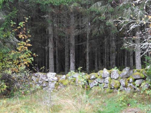 景觀, 6 person holiday home in Osby-By Traum in 奧斯比