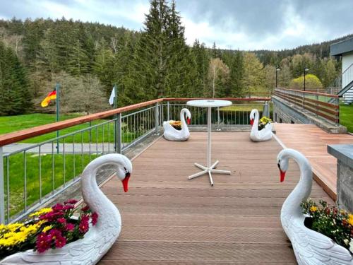 Rõdu/terrass, Sunday Schwarzbachtal Double Room Forest View in Markneukirchen
