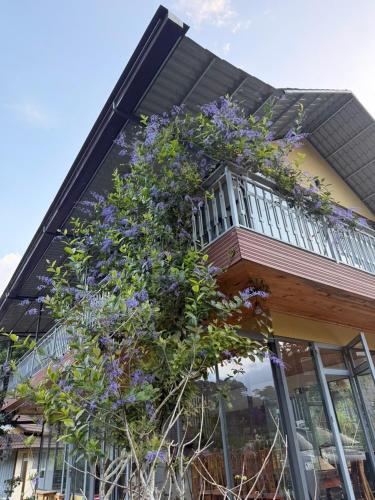 Đồi Lát Homestay (Đoi Lat Homestay) in Lam Ha District