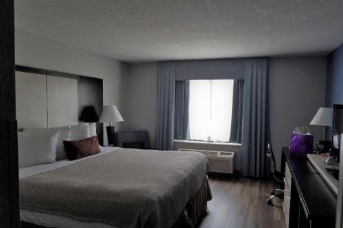 Wyndham Garden Hotel - Jacksonville - image 26