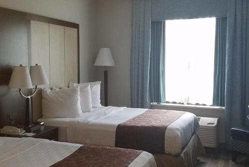 Wyndham Garden Hotel - Jacksonville - image 24