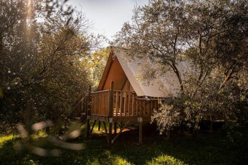 Glamping Il Bosco di Marino in San Pietro Di Feletto