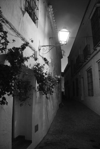 Pensión San Marcos - image 3