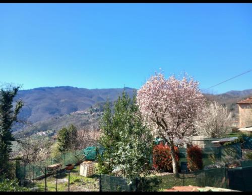 Large Tuscan apartment at the foot of the Pistoia mountains in Cireglio