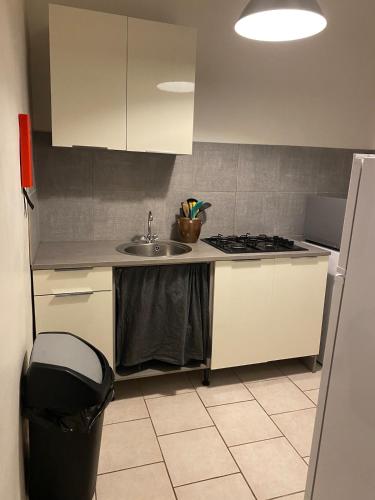 Appartement 2 pièces au cœur de sainte Cécile les vignes (Appartement 2 pieces au cœur de sainte Cecile les vignes) in Sainte-Cecile-les-Vignes (Alpes)