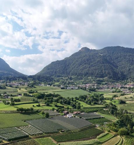 Agritur Maso Pra' Cavai B&B 4