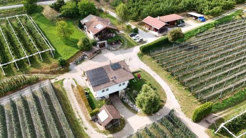 Agritur Maso Pra' Cavai B&B 5