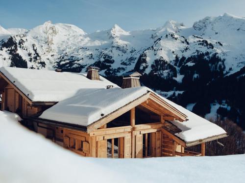 Chalet 4★, 12 pers, spa, vue panoramique, proche navette - FR-1-304-302