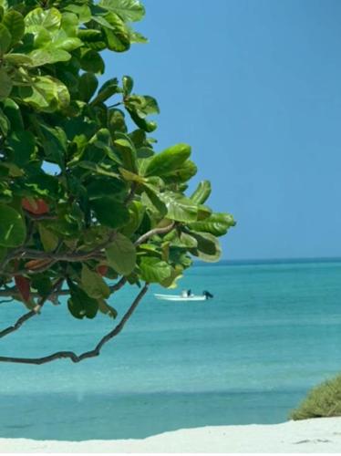 Shuweihat Beachfront Vacation House in Jebel Dhanna