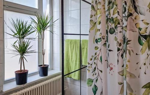 Bathroom, Ferienwohnung Wustrow 10 in Kuhlungsborn West in Ostseebad Kuhlungsborn