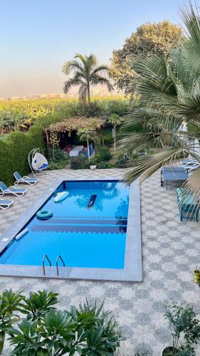 Villa Barba Luxor - image 10