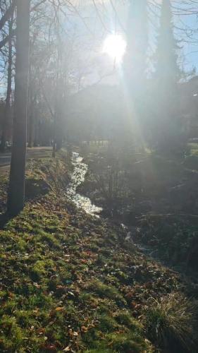 Létesítmények, Hotel MALEPARTUS am Kurpark in Bad Schwalbach