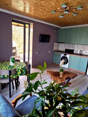 Guest House Aspindza in Aspindza