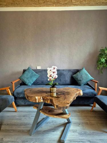 Guest House Aspindza in Aspindza