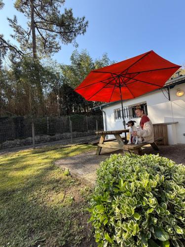 Matsya Hostel in Anglet