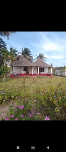 Demba Dou Suites Gardens in Tanji