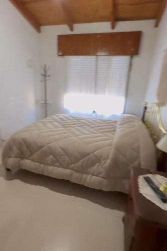 Casa centrica amplia en Baradero con parque y pileta in Baradero