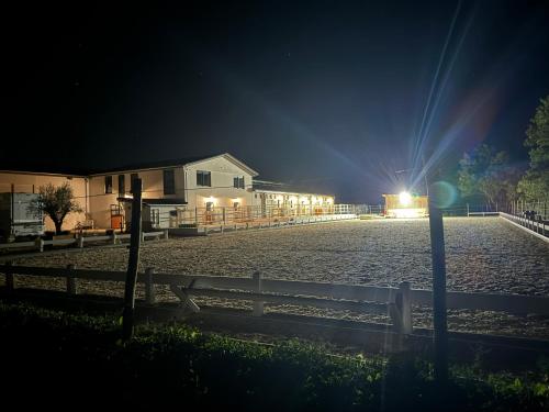 Ferien auf dem Pferdehof in Hülben