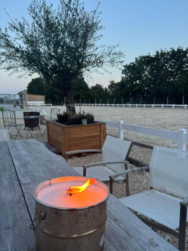Ferien auf dem Pferdehof in Hülben