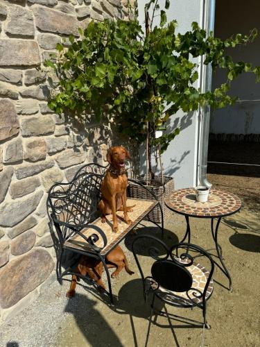 Ferien auf dem Pferdehof in Hülben