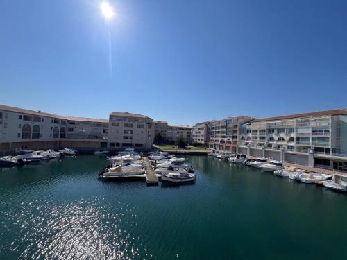 Studio NICE VIEW - Location saisonnière - Sète