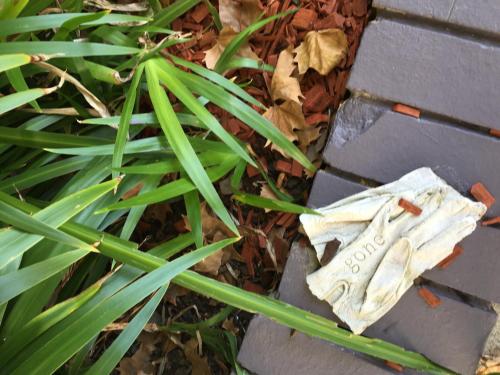 Quest St Leonards - image 7