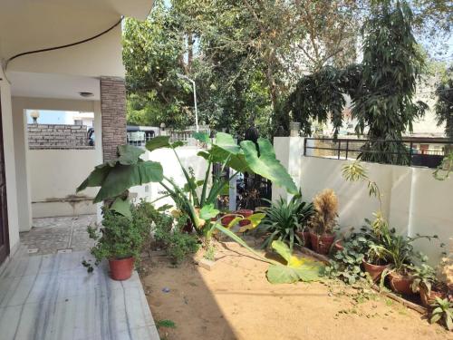 Hotel Orient Dev Palace - image 5