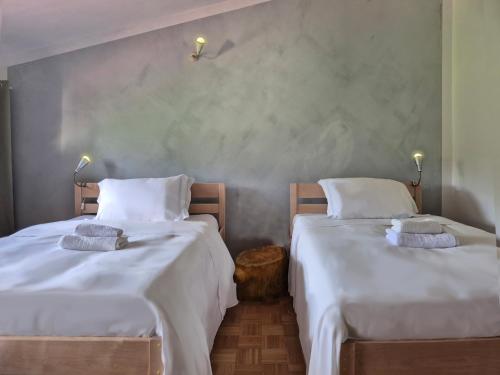 WIKI HOSTEL Colive - Adults Only & Pet Friendly Room Type - Deluxe Twin Room