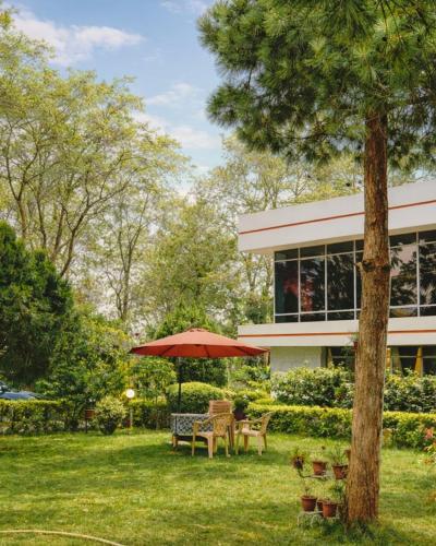 Viesnīcas āriene, Pine Tree Resort Betla in Daltonganj