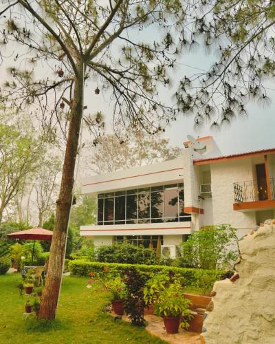 Viesnīcas āriene, Pine Tree Resort Betla in Daltonganj