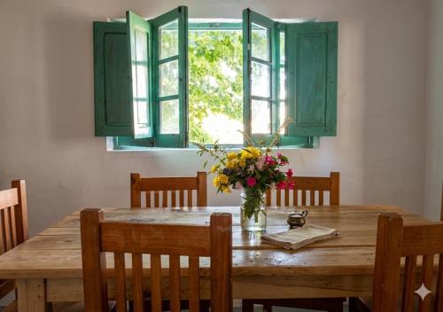 Finca La Nelly, Casa de campo 7 hectáreas de viñedo, vista a las montañas a metros del Rio Atuel