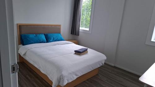 3 Double 4 Single and 2 Sofa Beds, Apartment1 in New Lynn