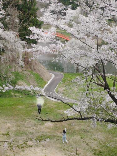 Nearby attraction, 民泊よこてこよ in Yuzawa-shi