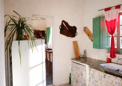 Finca La Nelly, Casa de campo 7 hectáreas de viñedo, vista a las montañas a metros del Rio Atuel (Finca La Nelly, Casa de campo 7 hectareas de vinedo, vista a las montanas a metros del Rio Atuel) in Salto de las Rosas