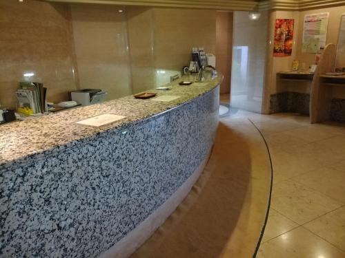 Lobby, Hotel New Green Kashiwazaki in Kashiwazaki