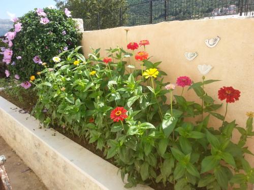 Apartment Mare s mora Apartment Mare s mora