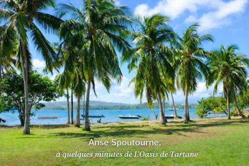 Studio vue sur la mer, piscine - L'Oasis de Tartane in ลา ทรินิตี้