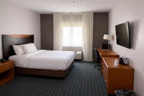 Comfort Inn & Suites Texas City I-45 - image 14