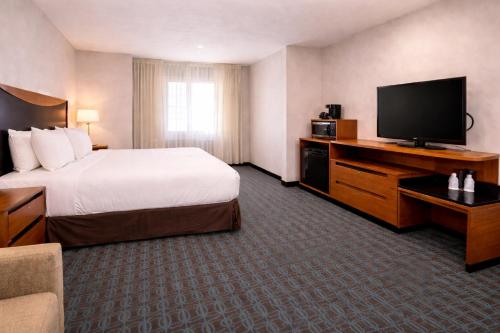 Comfort Inn & Suites Texas City I-45 - image 3