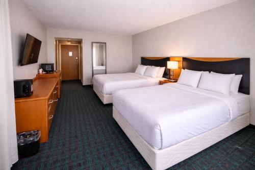 Comfort Inn & Suites Texas City I-45 - image 8