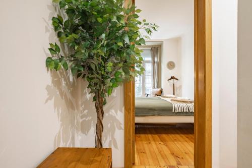 Cozy 3BR Near Av Liberdade Sleeps 8 Patio - image 14