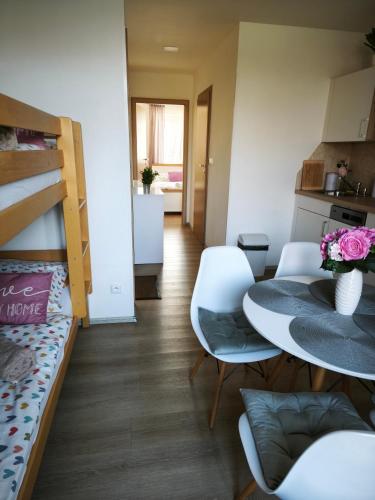 Familly Apartmens in Dolní Dunajovice
