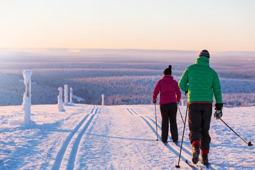 Kakslauttanen Arctic Resort - Igloos and Chalets - image 12
