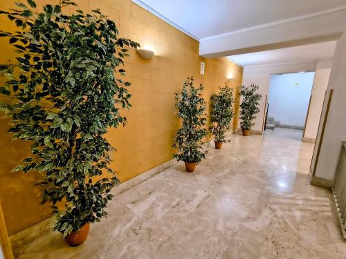 Apartament di Nick Central Station 4