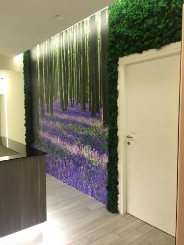 Morra's Home - image 2