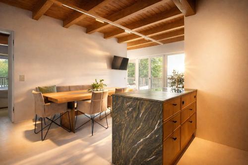 PENTHOUSE N'4 - by AlpenLuxus Collection in Kramsach