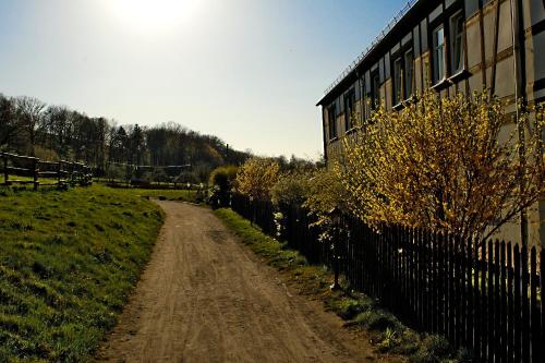 Hammermühle Hotel & Gesundheitsresort